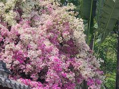 -深圳国际园林花卉博览园