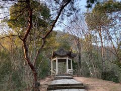 -天台山赤城山景区