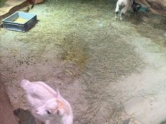 -正佳雨林生态植物园