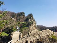 -王顺山国家森林公园