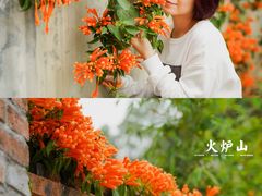 -火炉山森林公园