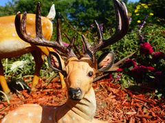 -上海共青森林公园