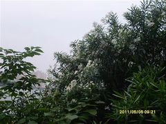-南昌青山湖风景区
