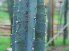 -MOJ coffee(瓯海泽雅水碓坑店)