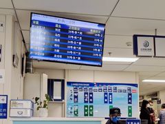 -首都医科大学附属北京地坛医院