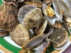 -东戴河风景区-止锚湾