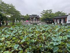 -惠州西湖风景名胜区-丰渚园