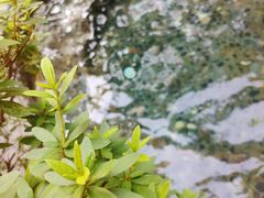 -海口观澜湖火山温泉谷