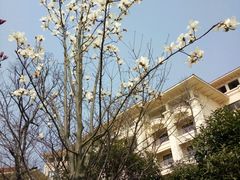 -幸福湖国际会议中心