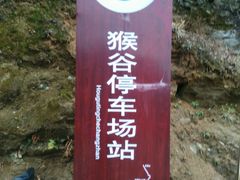 -罗田天堂寨风景区