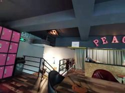 -桃秘钢管舞 Peach Pole Fitness