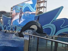 -上海海昌海洋公园
