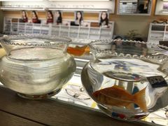 -视野联行眼镜·蔡司授权店(长白万象汇店)