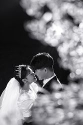 -保定巴黎婚纱摄影