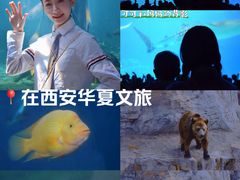 -华夏文旅海洋公园