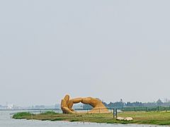 -金沙湖旅游度假区