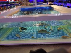 -驻海渔市(置信店)