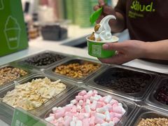 -Salud撒露欧洲冻酸奶(蓝色港湾店)