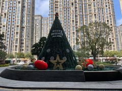 -五缘湾凯悦酒店·悦饗中餐厅