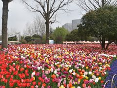 -大宁灵石公园西门票处