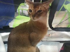 -万隆广场(昆仑大街店)