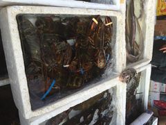 iphone_upload_pic-鸿港海鲜批发市场