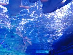 -迪拜水族馆及水下动物园