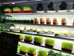 -番食园鲜食火锅(高新店)