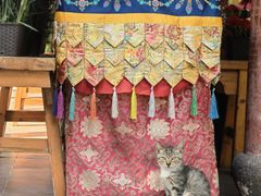 -龙华素斋(龙华路店)