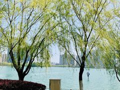 -天鹅湖体育公园
