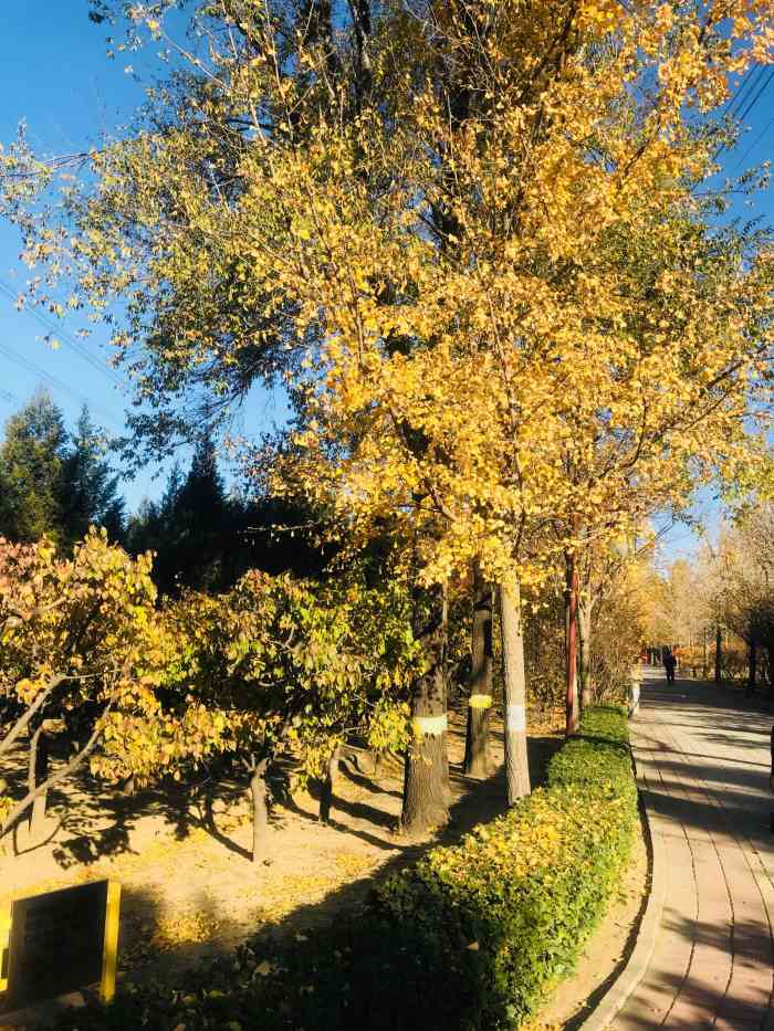 白鹿公园-"在王四营乡,白鹿郊野公园与古塔公园遥相呼.