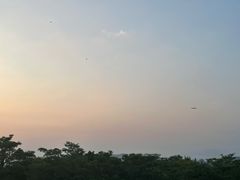 -周正水煮活鱼·吊水鱼(万科店)