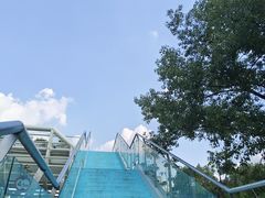 -高子水居