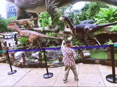 -陕西自然博物馆