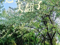 -月湖风景区