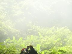 -百色大石围天坑群