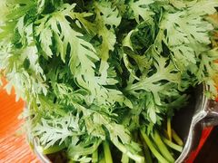 -谭鸭血老火锅(漳州路店)