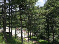 -苏木山森林公园