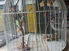 -陕西省小天鹅艺术团