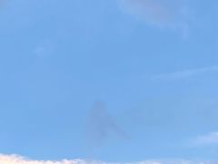 -湖畔居茶楼(湖滨店)