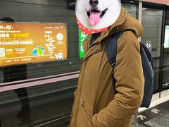 -南城香(北京南站店)