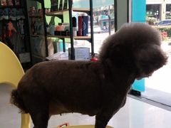 -佳雯宠物医院(金华南路分院)