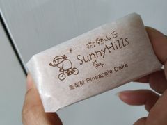 -微热山丘(桃园机场店)