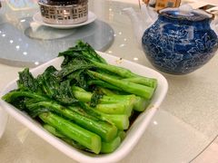 盐水菜心-南园酒家(前进路店)