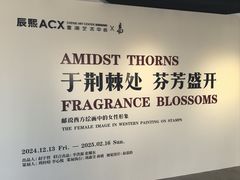 -辰熙ACX星海艺术中心