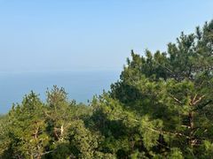 -梦姑塘文化公园