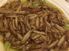 -新花城蟹粉馆(乌鲁木齐店)