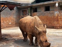-昆明动物园