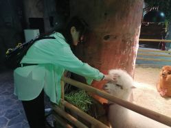 -Zoolung Zoolung动物主题公园(海信广场店)