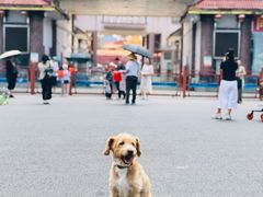 -姐告口岸